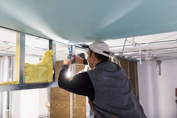 Best Commercial Insulation in Whitewater, KS